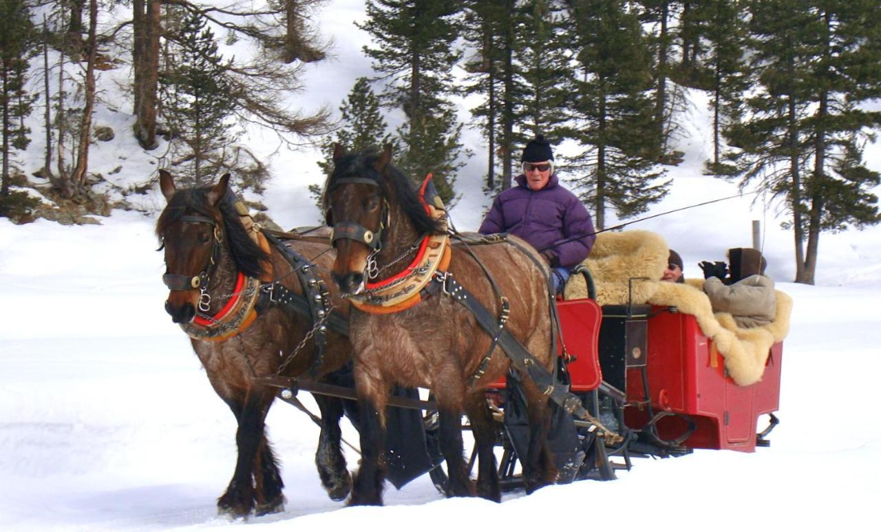 Hotel Roseg-Gletscher Pontresina Eksteriør billede