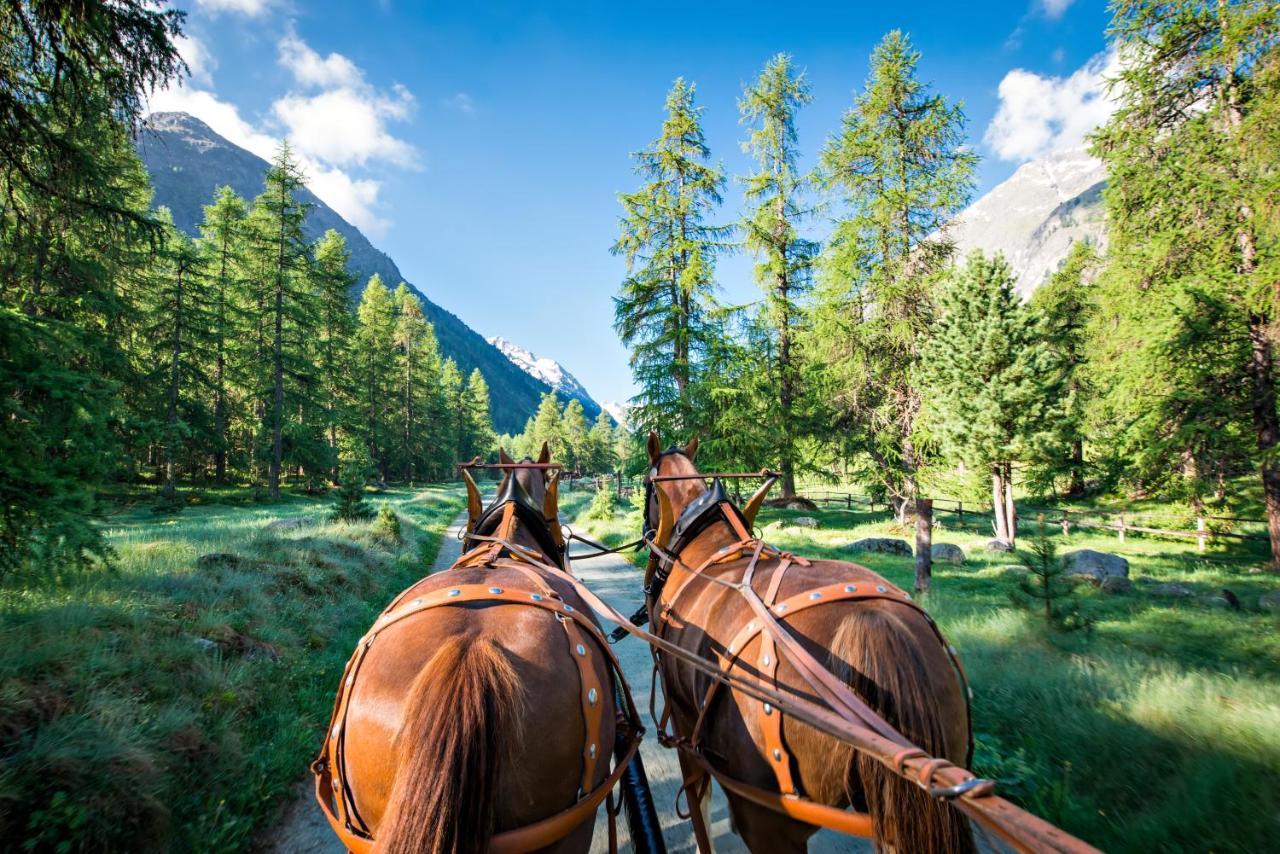 Hotel Roseg-Gletscher Pontresina Eksteriør billede