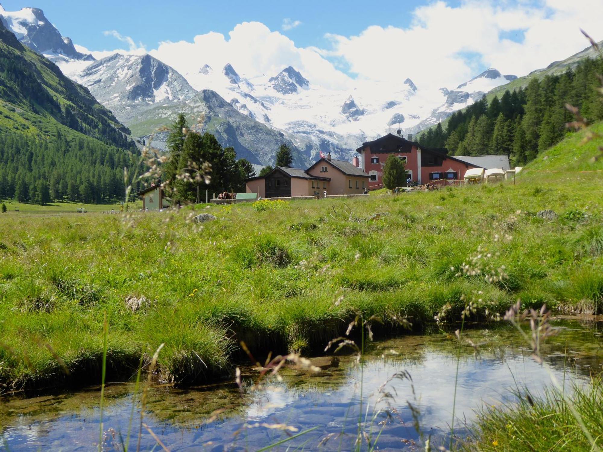 Hotel Roseg-Gletscher Pontresina Eksteriør billede