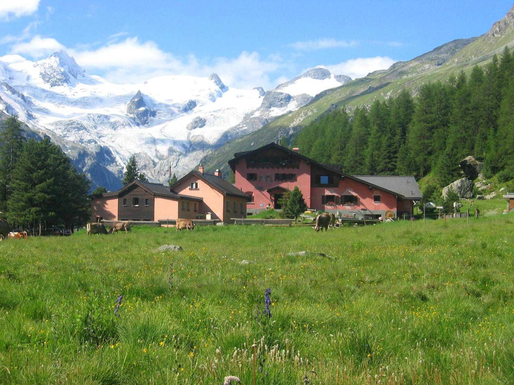 Hotel Roseg-Gletscher Pontresina Værelse billede