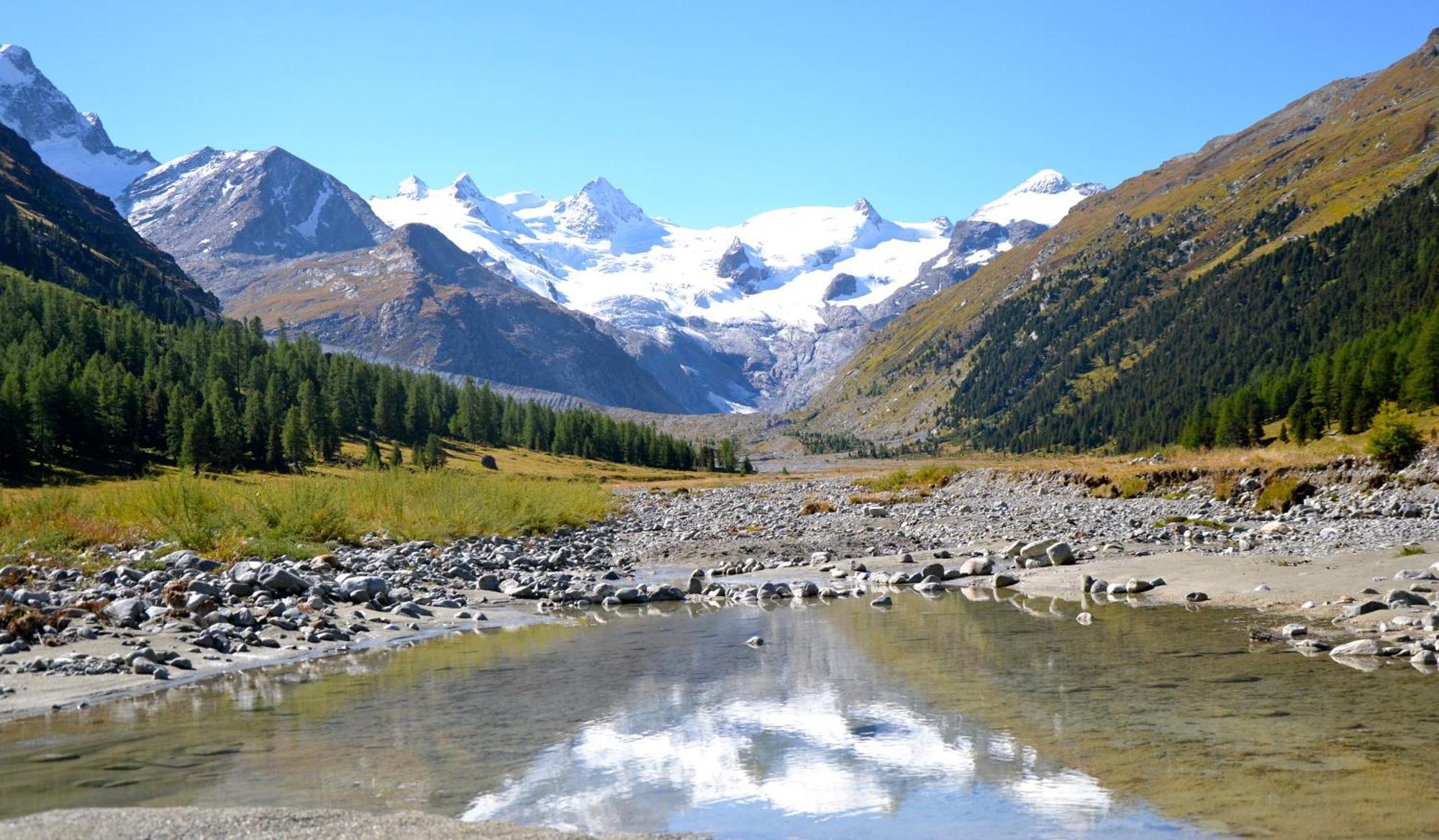 Hotel Roseg-Gletscher Pontresina Værelse billede