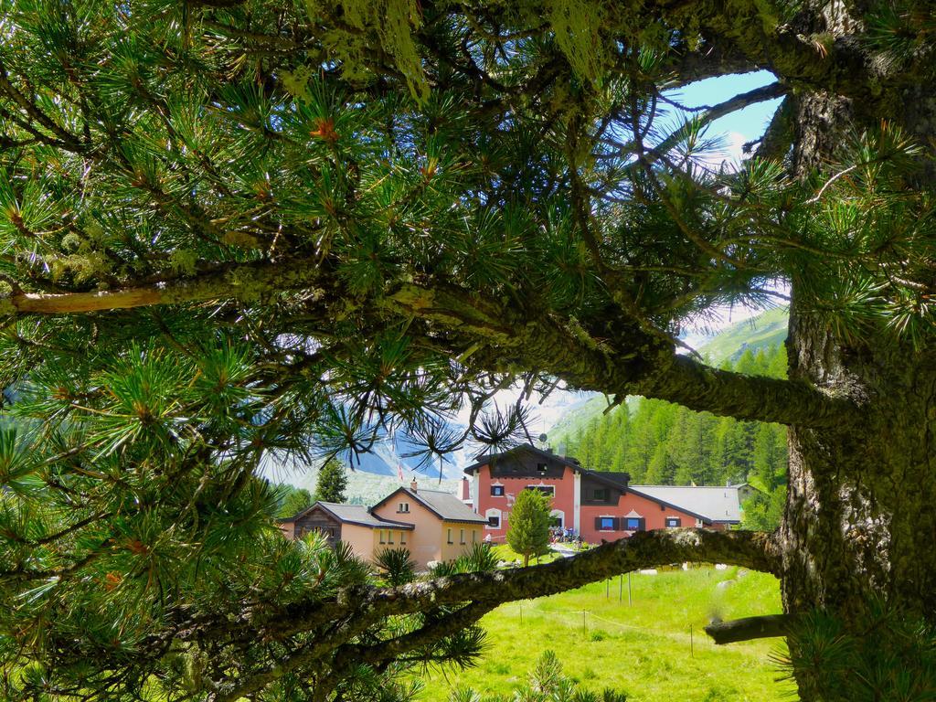 Hotel Roseg-Gletscher Pontresina Eksteriør billede